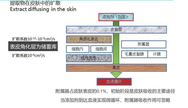 关于我们(图1)